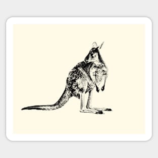 Kangaroo Sticker